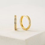 Load image into Gallery viewer, Gold-Plated Hoops - Desi 20mm