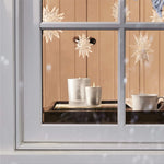 Load image into Gallery viewer, Thymes Frasier Fir - Flocked Candle 6.5oz