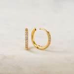 Load image into Gallery viewer, Waterproof Collection - Hoop Earrings Evie Gold 15mm