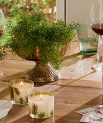 Load image into Gallery viewer, Thymes Frasier Fir - Pine Set 3.75oz ea s/2