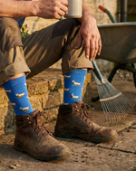 Load image into Gallery viewer, Men's Midcalf Socks - Did Good | Goats