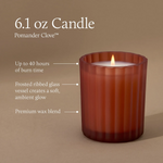 Load image into Gallery viewer, Thymes Pomander Clove - Boxed Candle 6.1oz