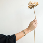 Load image into Gallery viewer, Scout Bracelet - Delicate White Fossil | Gold