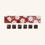 Load image into Gallery viewer, Jacek Chocolate - 6pc Holiday Chewy Caramels