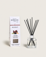 Load image into Gallery viewer, Maison Berger Diffuser - Mystic Leather