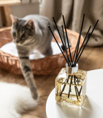 Load image into Gallery viewer, Maison Berger Diffuser - Orange Cinnamon