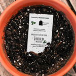 Load image into Gallery viewer, Women's Crew Socks - Floral Peony