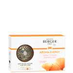 Load image into Gallery viewer, Maison Berger Car Diffuser