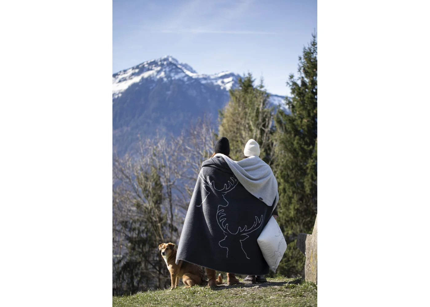 Fussenegger Throw - Savona Velour Stag Heads Charcoal 200x150cm