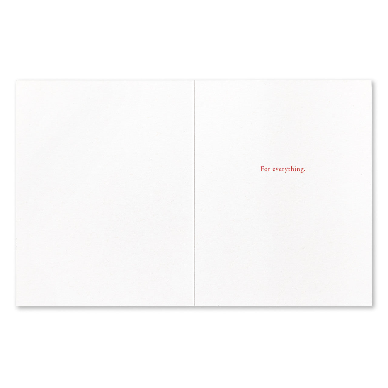 Thank You Card - More Than a Little Grateful