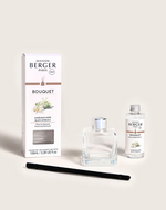 Load image into Gallery viewer, Maison Berger Diffuser - Black Angelica

