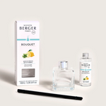 Load image into Gallery viewer, Maison Berger Diffuser - Zest of Verbena
