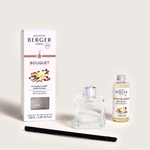 Load image into Gallery viewer, Maison Berger Diffuser - Amber Powder
