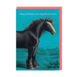 OD Cards - Birthday | Magnificent Beast