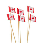 Load image into Gallery viewer, Party Pick - Canada Flag 80pc
