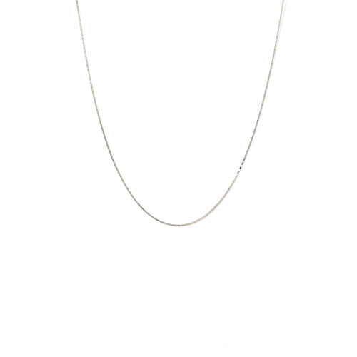 Rhodium-Plated Necklace - Dion Long 20"