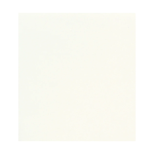 Paviot Table Cloth - White