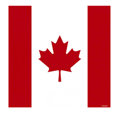 Paviot Dinner Napkin - Canada Flag