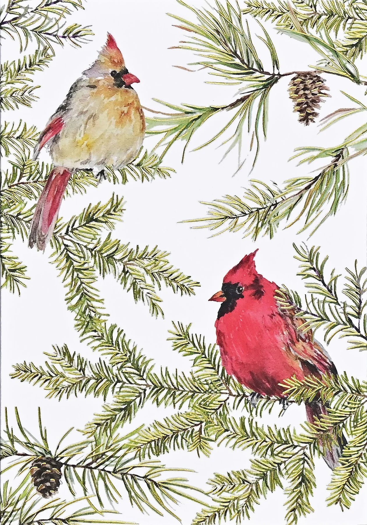 Holiday Boxed Card Set - Mini Cardinals in Evergreen s/20