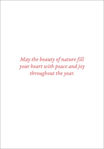 Load image into Gallery viewer, Holiday Boxed Card Set - Mini Cardinals in Evergreen s/20
