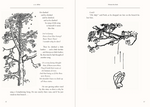 Load image into Gallery viewer, Classic Book - Masterpiece Winnie the Pooh

