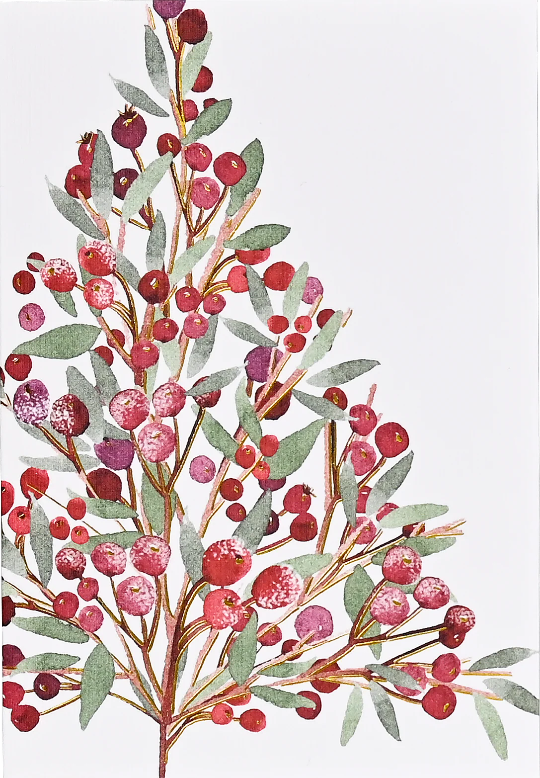 Holiday Boxed Card Set - Mini Festive Bough s/20