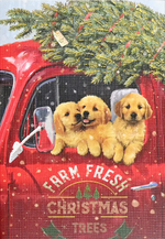 Load image into Gallery viewer, Holiday Boxed Card Set - Mini Festive Pups s/20
