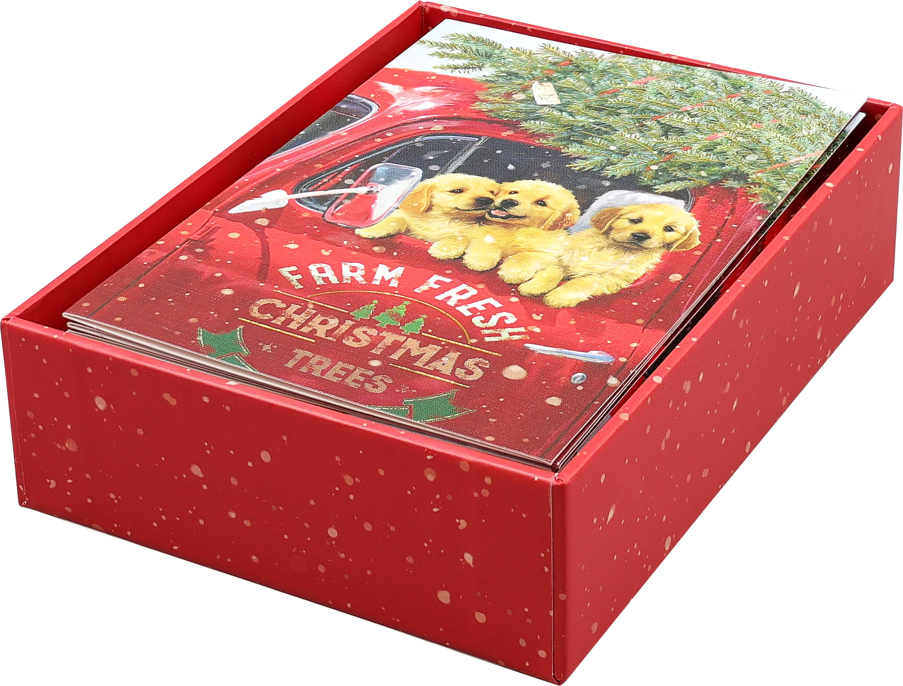 Holiday Boxed Card Set - Mini Festive Pups s/20