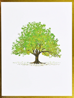 Load image into Gallery viewer, Premium Boxed Card Set - Watercolor Trees s/20
