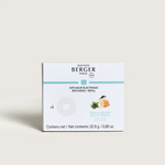 Load image into Gallery viewer, Maison Berger Nomad Refill - Zest of Verbena
