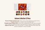 Load image into Gallery viewer, Jacek Chocolate - 12pc Autumn Collection
