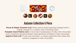 Load image into Gallery viewer, Jacek Chocolate - 6pc Autumn Collection
