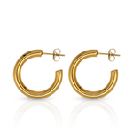 Load image into Gallery viewer, Waterproof Collection - Hoop Earrings Friday Gold
