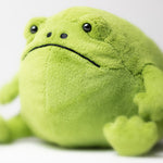 Load image into Gallery viewer, Jellycat Plush - Ricky Rain Frog
