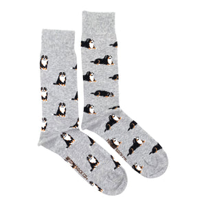 Men's Midcalf Socks - Bernese Mountain Dog