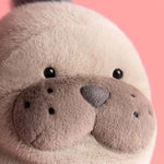 Load image into Gallery viewer, Jellycat Plush - Roarwell Sea Lion
