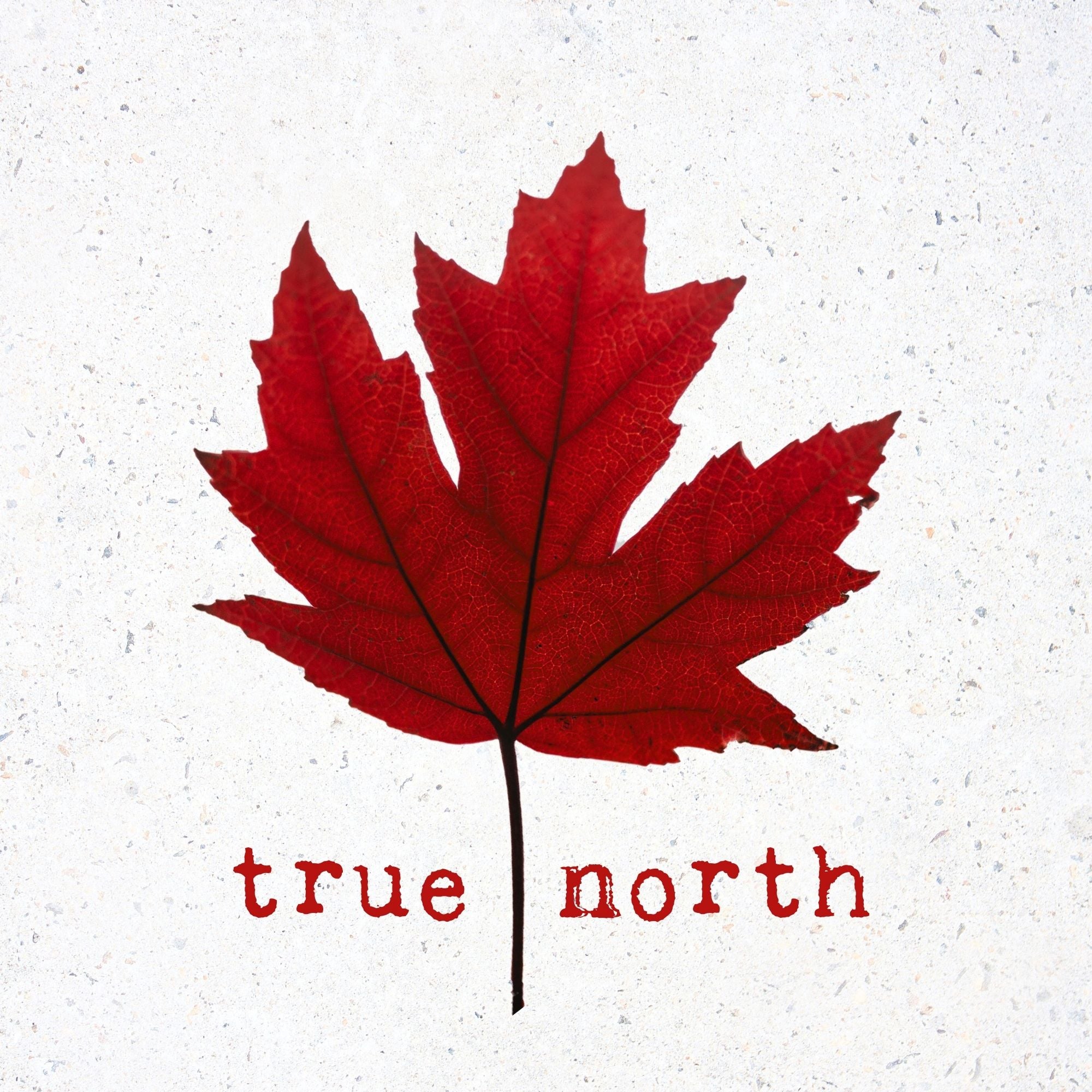 CM Cards - True North Maple Leaf
