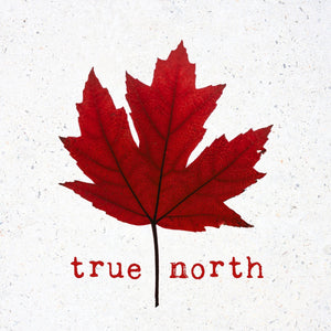 CM Cards - True North Maple Leaf