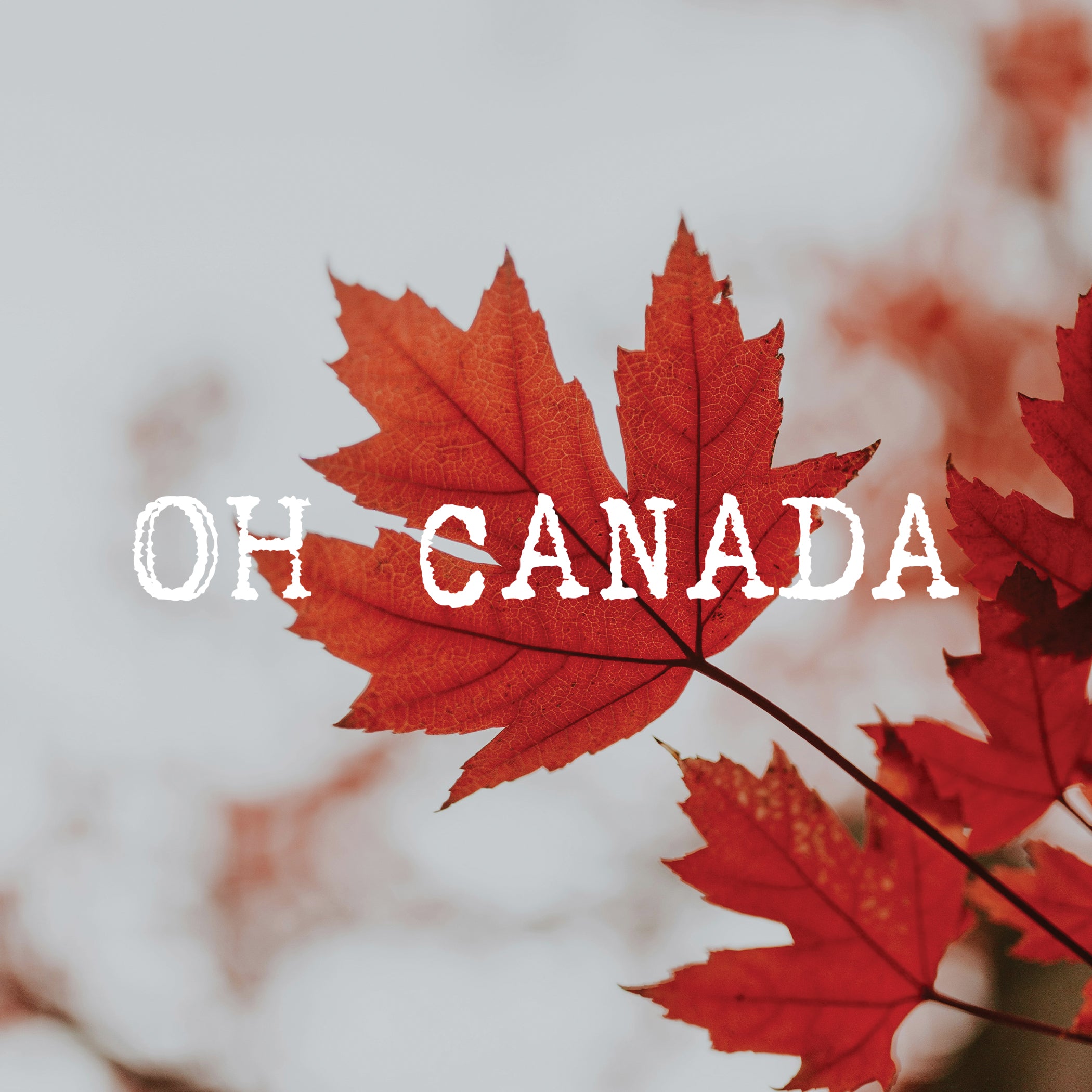 CM Cards - Oh Canada Maple Leaf
