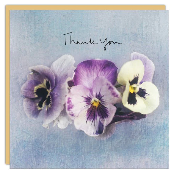 CM Cards - Thank You | Pansies
