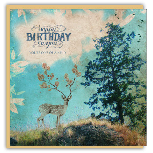 CM Cards - One of a Kind (Birthday)