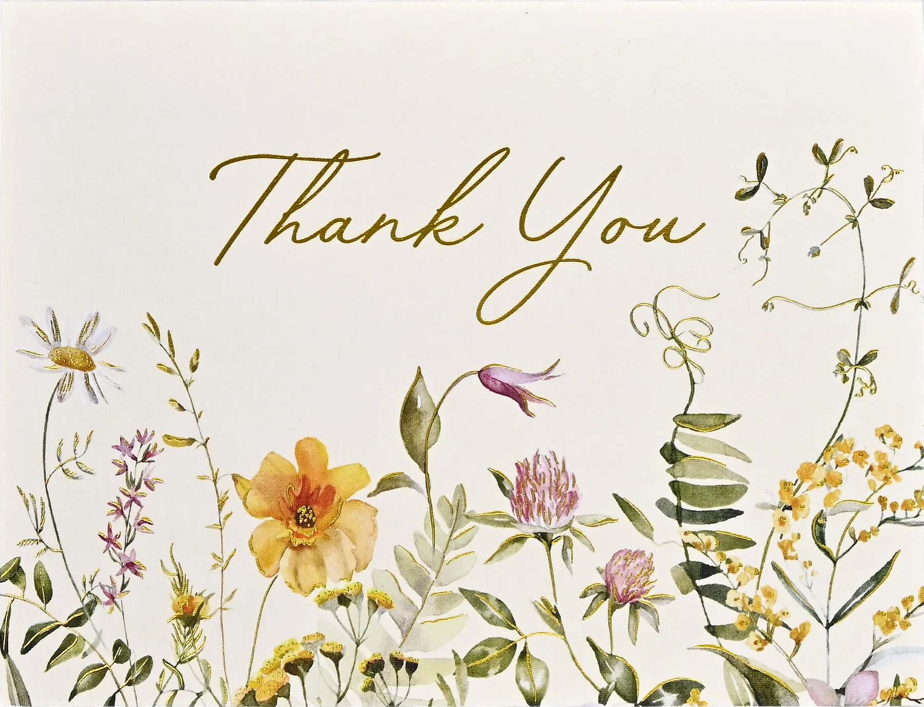 Premium Boxed Card Set - TY Wild Flowers s/20