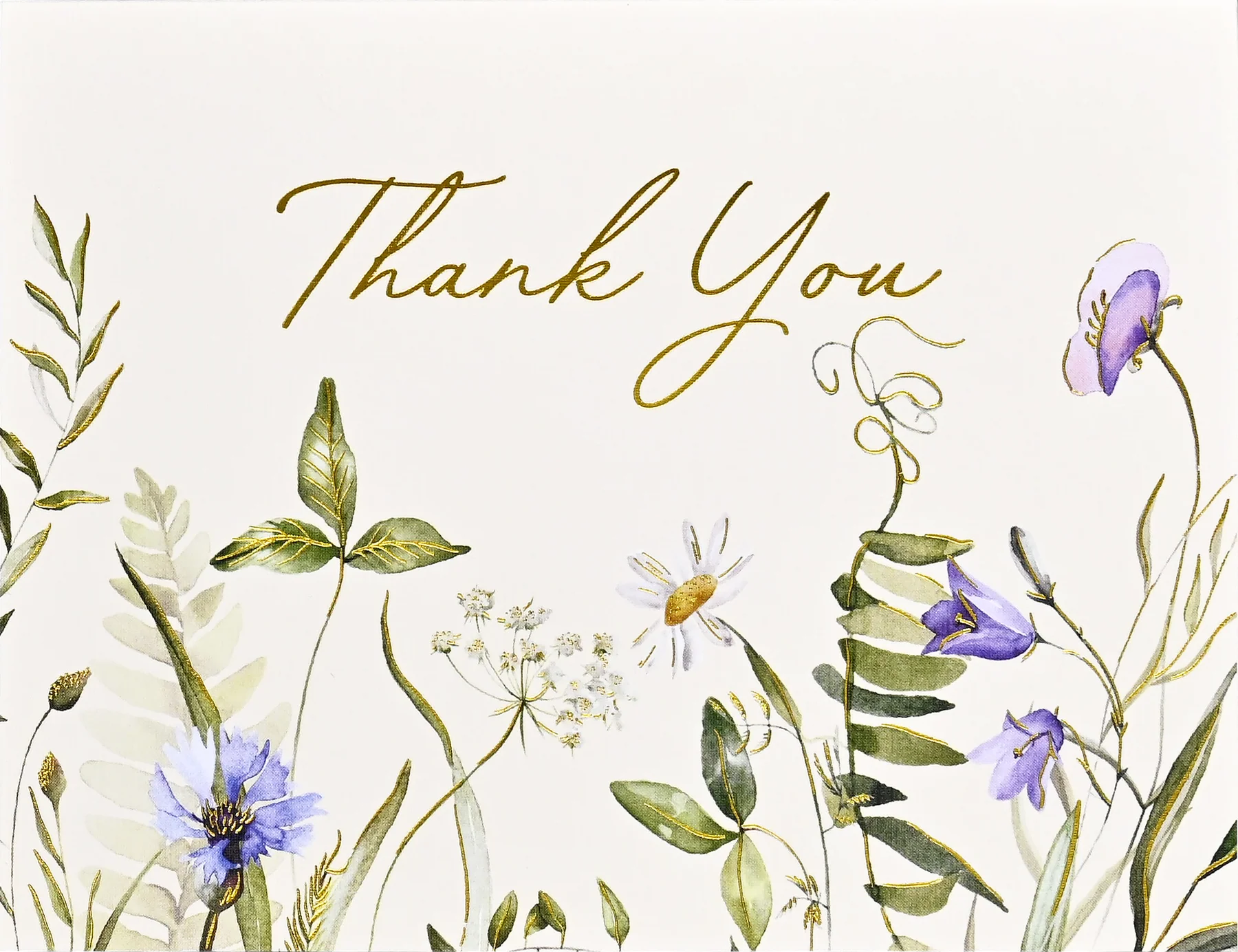 Premium Boxed Card Set - TY Wild Flowers s/20