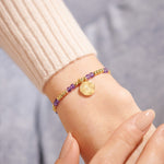 Load image into Gallery viewer, A Littles &amp; Co. Bracelet - Birthstone Feb Amethyst Gld
