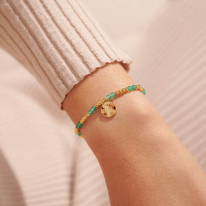 A Littles & Co. Bracelet - Birthstone Aug Aventurine | Gold