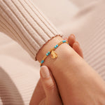 Load image into Gallery viewer, A Littles &amp; Co. Bracelet - Birthstone Dec Turquoise Gld
