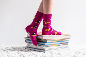 Kids Socks - Colorful Cats