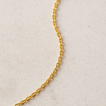 Load image into Gallery viewer, Gold-Plated Necklace - Encore 16"+2"
