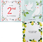 Load image into Gallery viewer, Activity Book - Holiday | Twelve Days Flap Book
