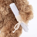 Load image into Gallery viewer, Bukowski Bears - Bear | Graduate
